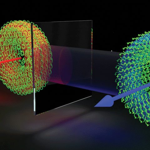 DOE Awards UMD $1.5M for Quantum Information Research to Advance Fusion Energy