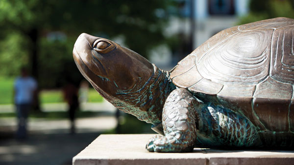 Testudo Statue