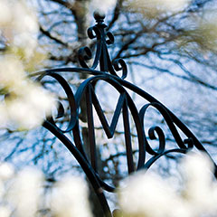 University of Maryland Gate